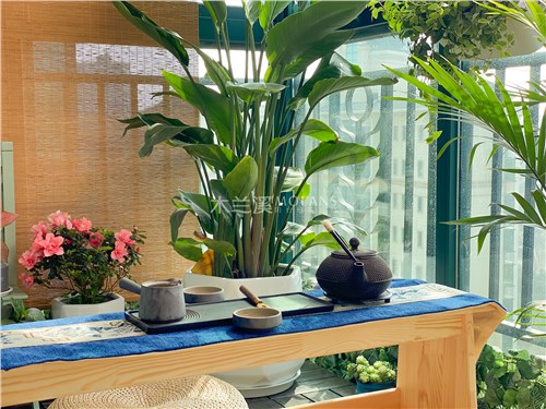 眾多品牌已紛紛涌入 陽臺定制或成家居行業(yè)新藍海